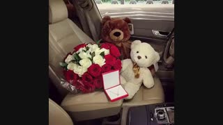 تولد همه ی دوستان شهریوری مباااااااااارک....