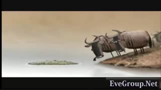 راهکارهای مدیریتی در ایران!!