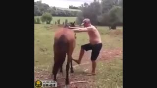 اخه مگه مجبوری؟؟!!!