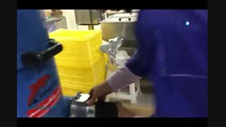 جاروبرقی صنعتی ( مدل DG 100 )