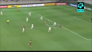 اف سی سئول ۳-۱ شاندونگ لیوننگ