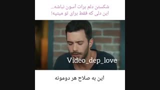 همه میگن اون دیوونه بر نمیگرده...