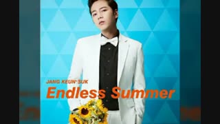ENDLESS SUMMER /GOING CRAZY'VISUAL COVER'IMAGES