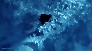 جک السا let it go می خوننن(نبینی نصف عمرت در فناست)