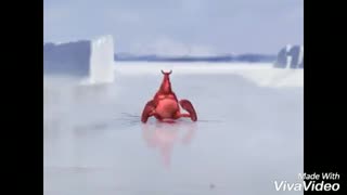 میکس شاد رقص