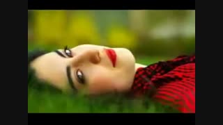 چشم و گیسو - دکلمه ای از هری تاش *** Chashm_o_Giso