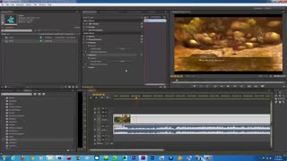 حذف صدا از فیلم در پریمیر