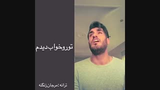 شهاب مظفری..... تو رو خواب دیدم