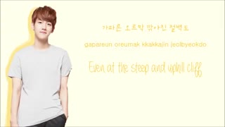 EXO-K - Don't Go (나비소녀)