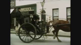 شرلوک هولمز به زبان اصلی The Case-Book of Sherlock Holmes: The Disappearance of  Lady Frances Carfax ناپدید شدن بانو فرانسیس