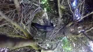 کرکر خنده خنده دار یک ساعت بخندین