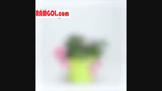 تهیه کود مناسب گیاهان آپارتمانی در خانه