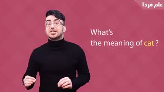 چطوری باید معنی کلمه های انگلیسی رو بپرسیم ؟
