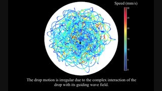 The pilot-wave dynamics of walking droplets