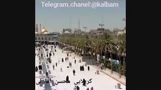 حاج محسن آقا ولی