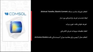 مدلسازی تخریب تومور کبدی