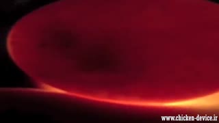 نکات مهم در نطفه سنجی تخم نطفه دار به زبان فارسی