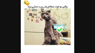 از تنهایی میترسی؟!!!!