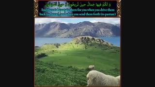 106 – چهارده گام تا خداشناسی، مجموعه فیلم دیدنی / God in the Quran