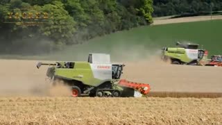 نهاده های دامی