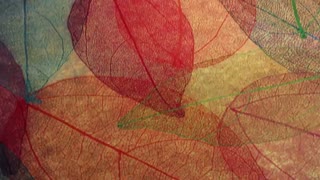 انتخاب نوجوان ها