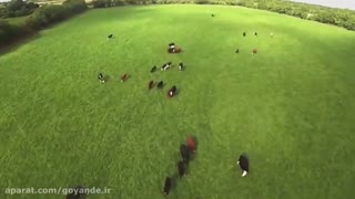 موشن گرافیک ( اینترنت اشیا - کشاورزی و دامداری) وزارت ارتباطات و فن اوری اطلاعات