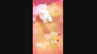 [دالگوم کوچولوعی ^^ تولدت مبارک هاپو]