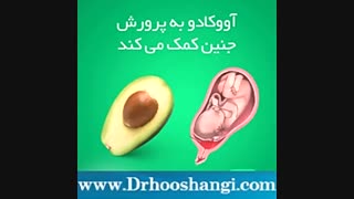 برخی مواد غذایی مفید برای بدن