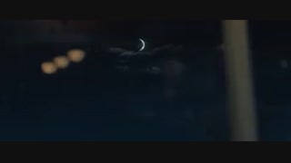 مسیر بازگشت سگ به خانه