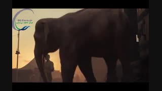 تریلر انیمیشن 2 dumbo