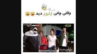 وقتی چانی زنبور دید