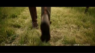تریلر سریال Star Trek: Picard