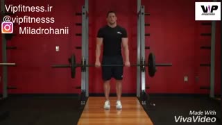 شراگ با هالتر