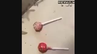 عاقبت آبنبات چوبی بی حجاب!!!!!!!!!!!!!