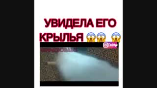 سریال جدید ال :آخرین ماموریت فرشته: عشق 