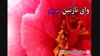 جان مریم - محمد نوری