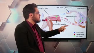 تدریس مبحث انعکاس زردپی زیر زانو توسط محمدرضا اولیایی
