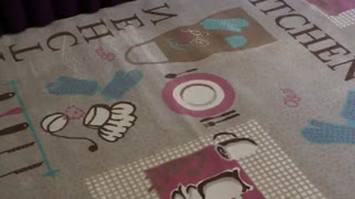 پیشنهاد ویژه برای آشپزخانه عروس خانم ها