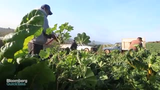 با کشاورزی ارگانیک و محصولات ارگانیک بیشتر اشنا شویم