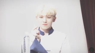 Woozi of seventeen FMV