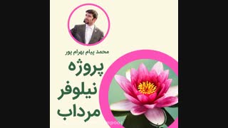 پروژه نیلوفر مرداب