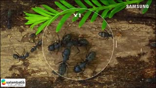 معرفی تلویزیون جدید سامسونگ مدل RU7400