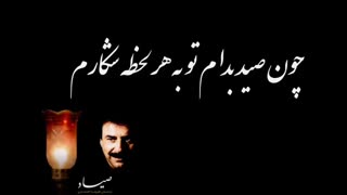 آهنگ صیاد (از ناوک مژگان) با صدای استاد علیرضا افتخاری