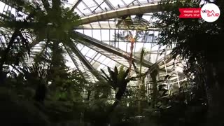 پالمن گارتن آلمان - Palmen Garten Germany - تعیین وقت سفارت آلمان با ویزاسیر