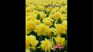 زندگی رسم خوش آیندی است